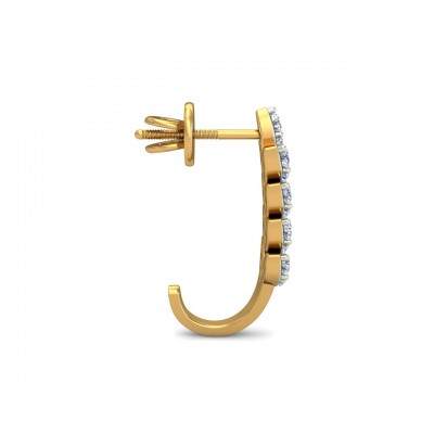 Hayley Diamond Hoop earrings in Gold